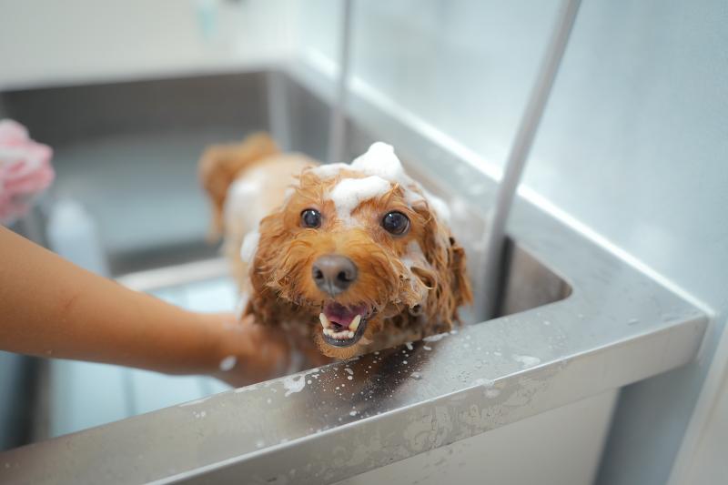 solun 株式会社京倭のアルバイト・バイト求人情報-03