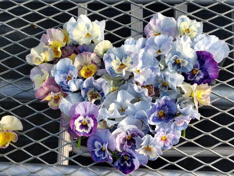 有限会社村岡オーガニックのアルバイト・バイト求人情報-03