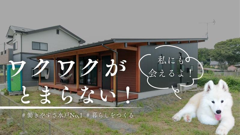 株式会社ハースの求人・転職情報