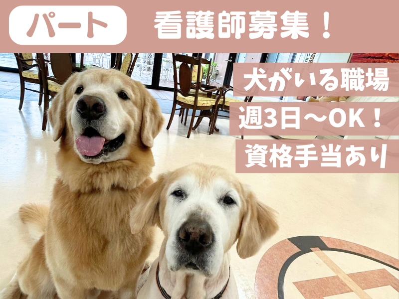 社会福祉法人博光福祉会のアルバイト・バイト求人情報-19