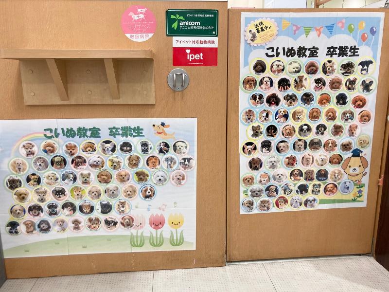 こころ鳳ペットクリニックのアルバイト・バイト求人情報-04