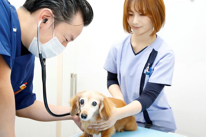ルーク動物病院のアルバイト・バイト求人情報-02