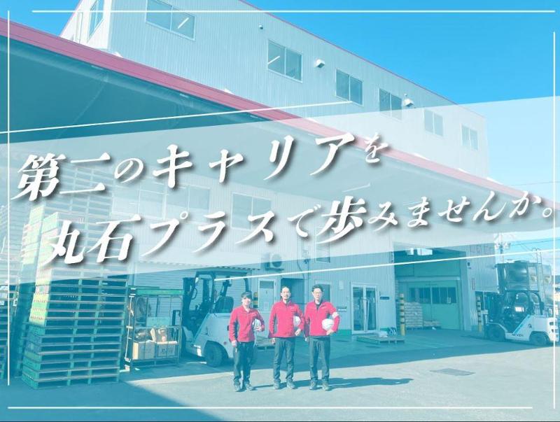 丸石プラス株式会社の求人・転職情報