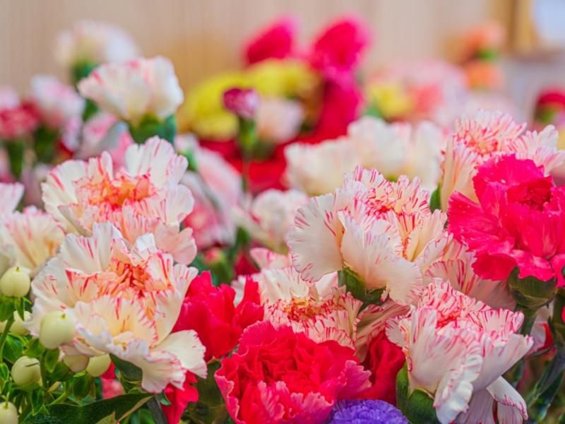 株式会社桜井花き地方卸売市場のアルバイト・バイト求人情報-02