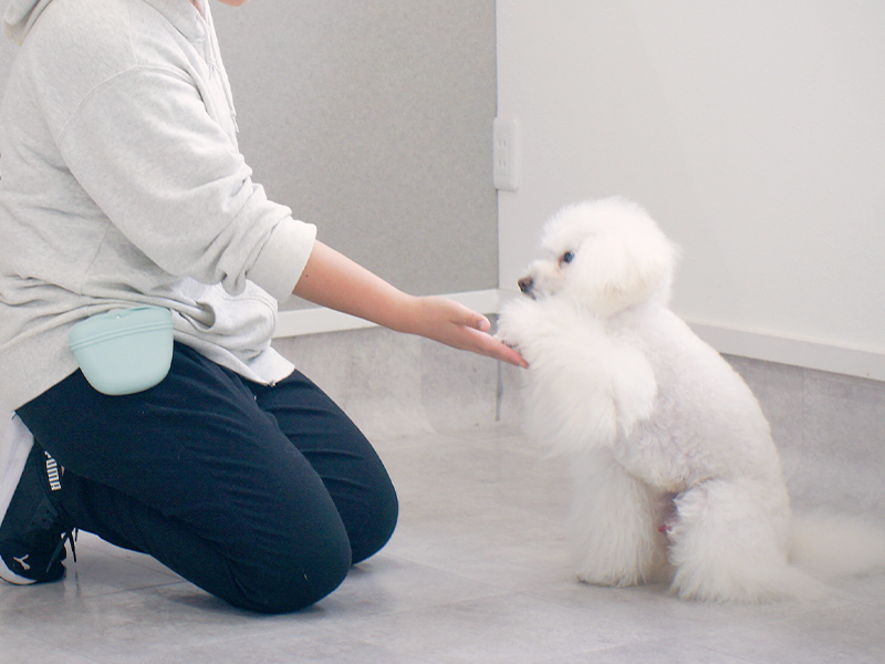 PawPark 埼玉宮原店のアルバイト・バイト求人情報-04