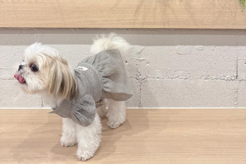 (株)ジージーのアルバイト・バイト求人情報-04