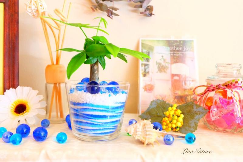 株式会社Peby Style-0011の求人・転職情報