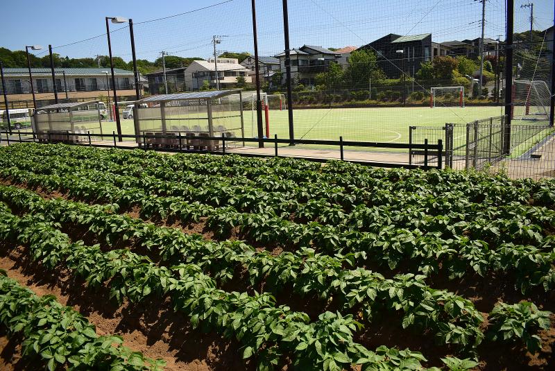 学校法人森学園の求人・転職情報