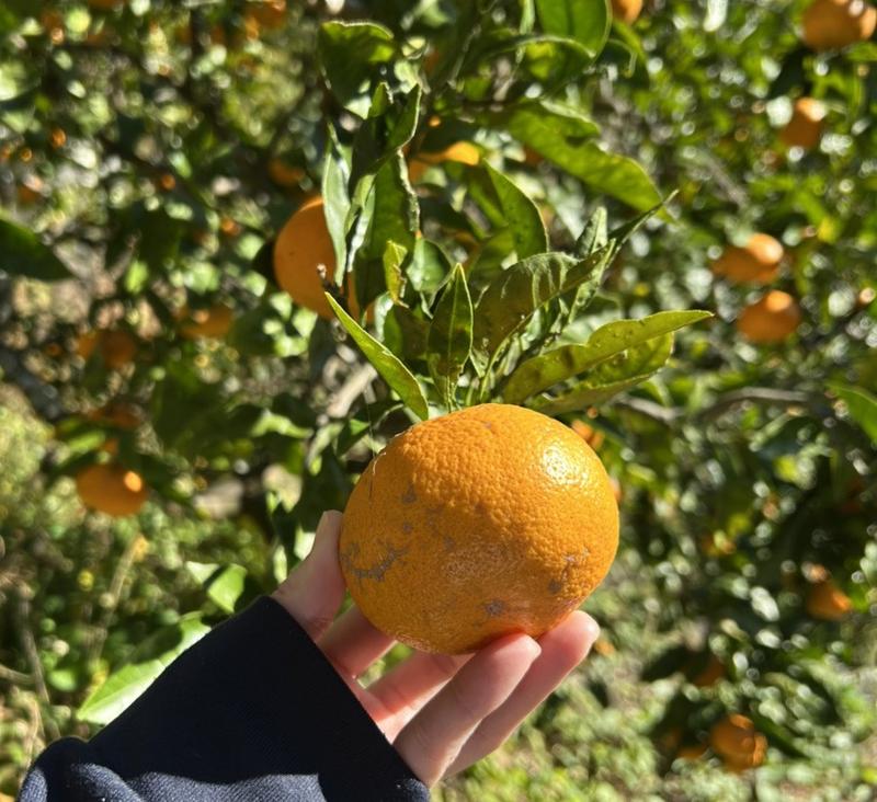 株式会社キャンテックのアルバイト・バイト求人情報-02