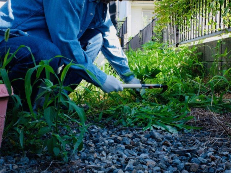 クラブツーリズム株式会社のアルバイト・バイト求人情報-03