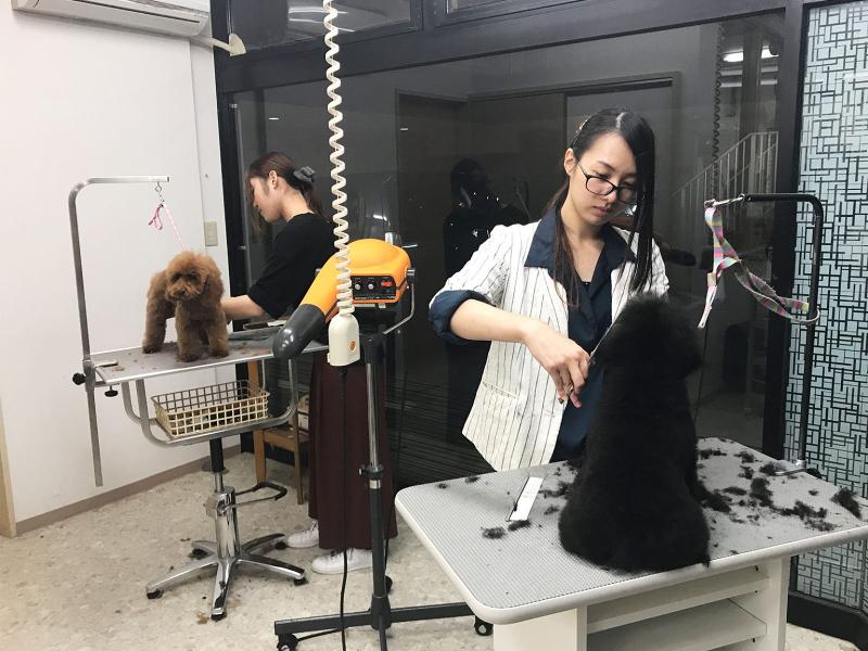 株式会社ファンクリップのアルバイト・バイト求人情報-03