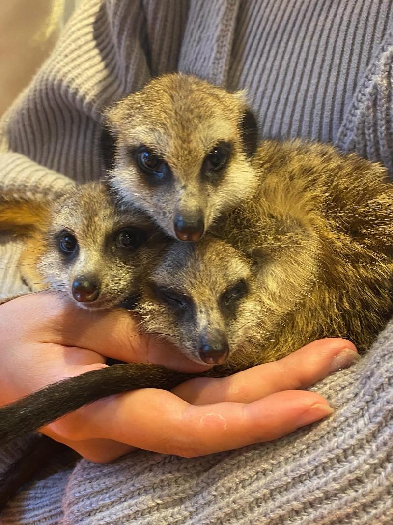 エストフォート株式会社のアルバイト・バイト求人情報-02