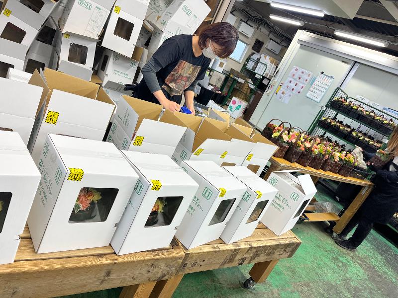 (株)花茂のアルバイト・バイト求人情報-02