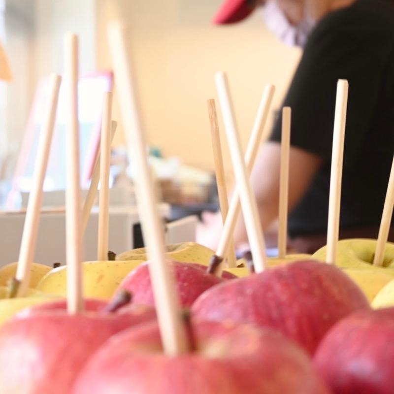 株式会社D.L.Sのアルバイト・バイト求人情報-02