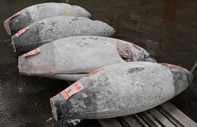 船橋魚市株式会社のアルバイト・バイト求人情報-04