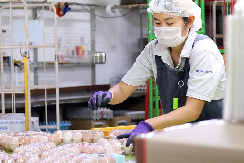 株式会社小林の求人情報