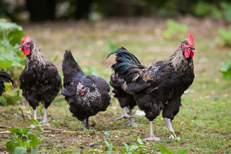 株式会社ヤマモトのアルバイト・バイト求人情報-06