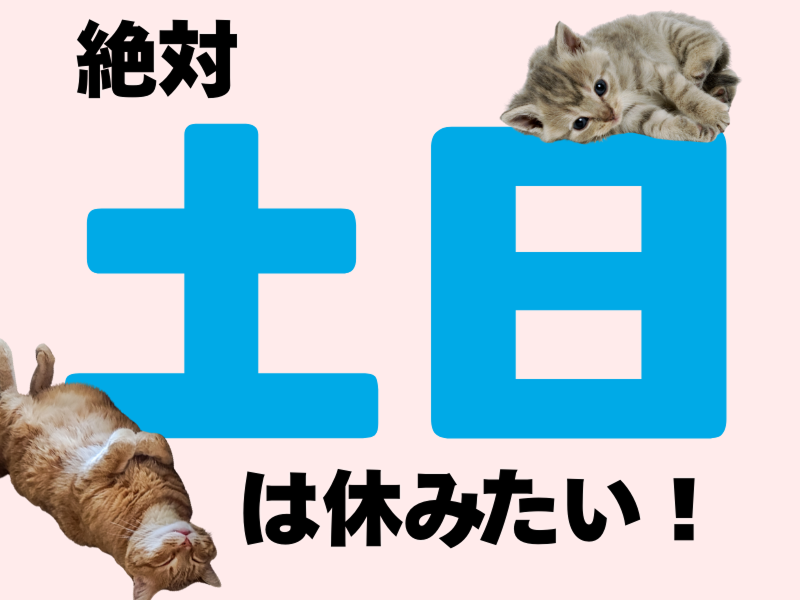 株式会社ワールドインテックのアルバイト・バイト求人情報-02