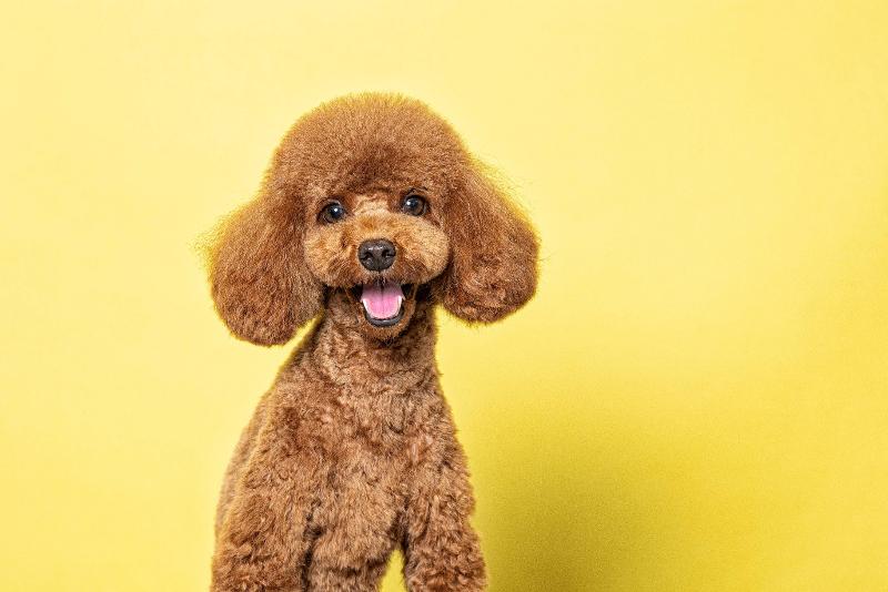 合同会社Rugのアルバイト・バイト求人情報-05