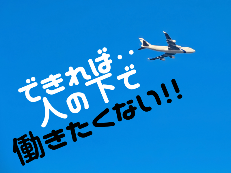 株式会社SUNRISEの求人・転職情報