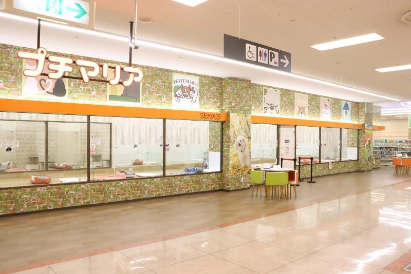 プチマリア　イオン小牧店(株式会社スリーゼロ)のアルバイト・バイト求人情報-03