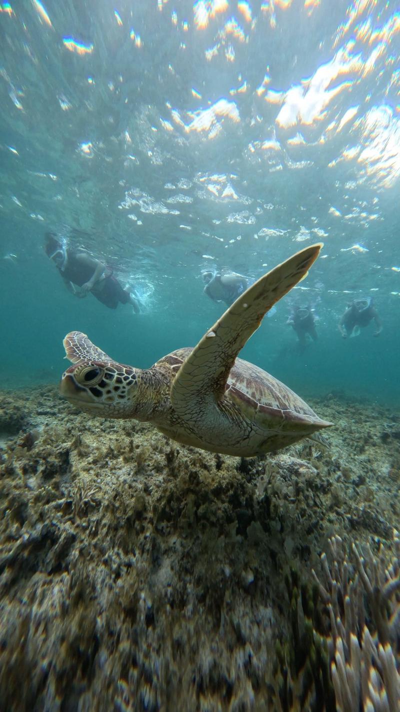 株式会社po4tiveのアルバイト・バイト求人情報-03