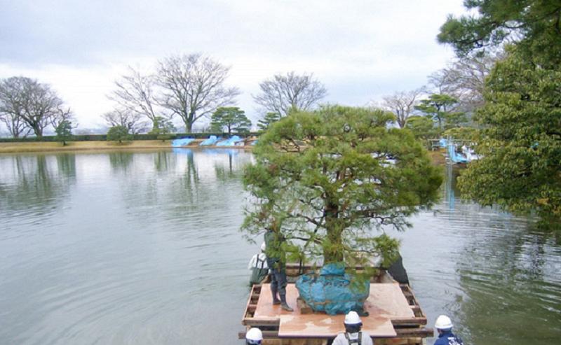 株式会社茨木春草園のアルバイト・バイト求人情報-04