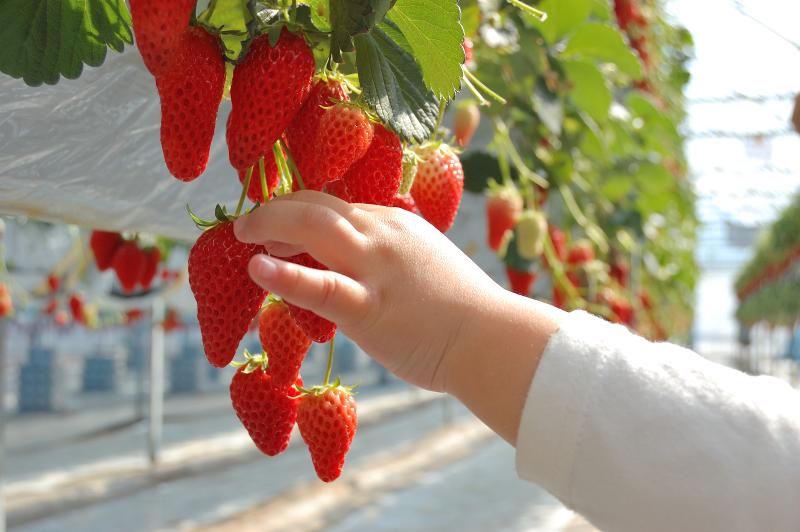 株式会社レボ・アクティマのアルバイト・バイト求人情報-02