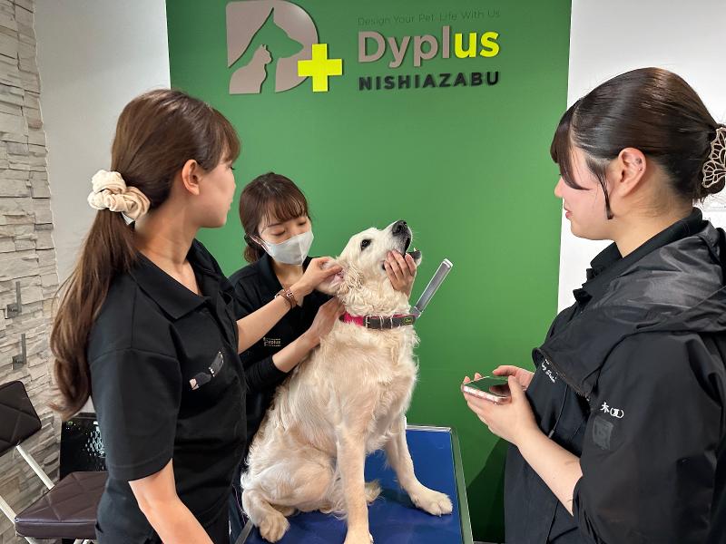 A'alda X株式会社のアルバイト・バイト求人情報-04