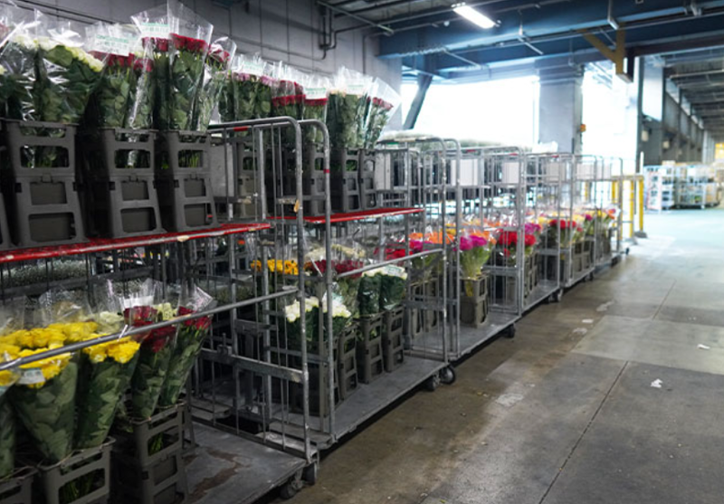 株式会社シスプロの求人情報