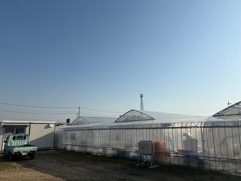 アグリエヴォルシア•ソレア(Agri Evolucia Solea)のアルバイト・バイト求人情報-02