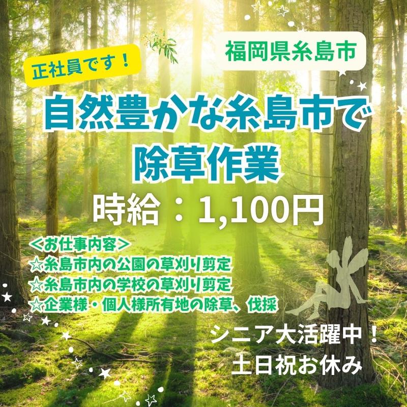 株式会社QCDクリエイトの求人・転職情報