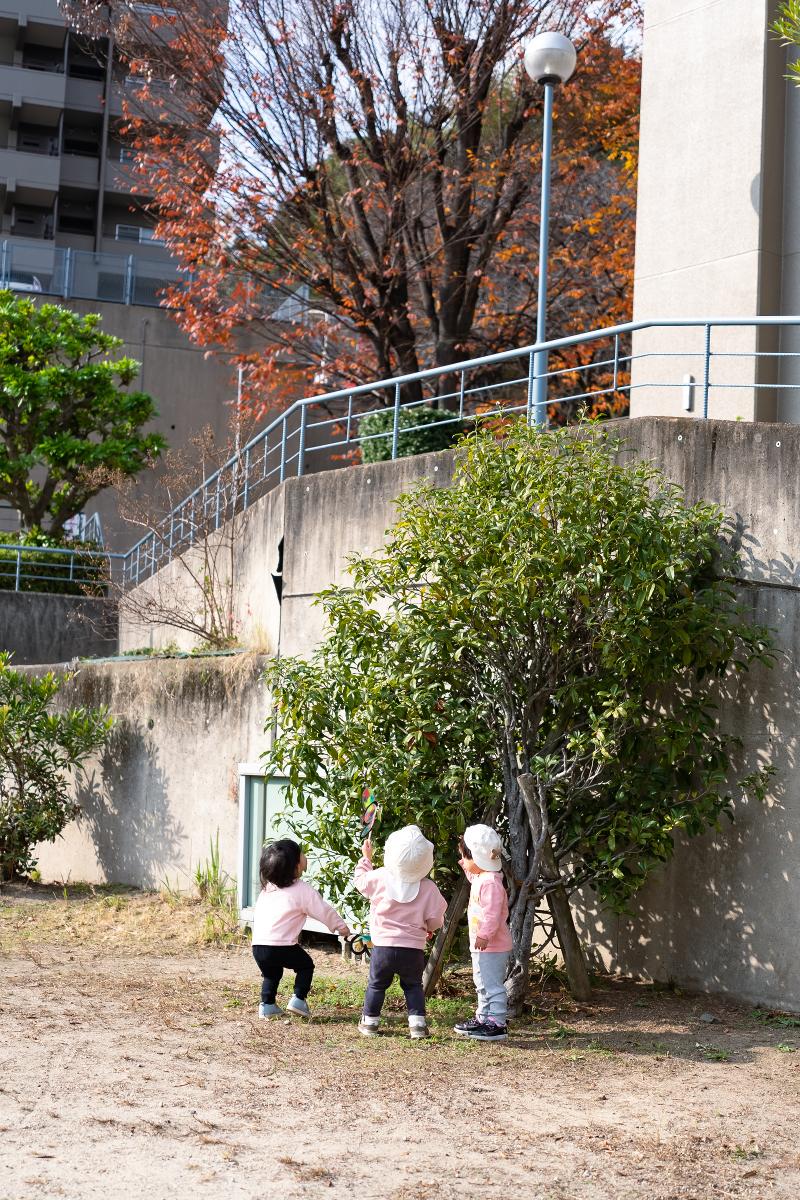 セント・ジュエル株式会社 ひかり保育園のアルバイト・バイト求人情報-04