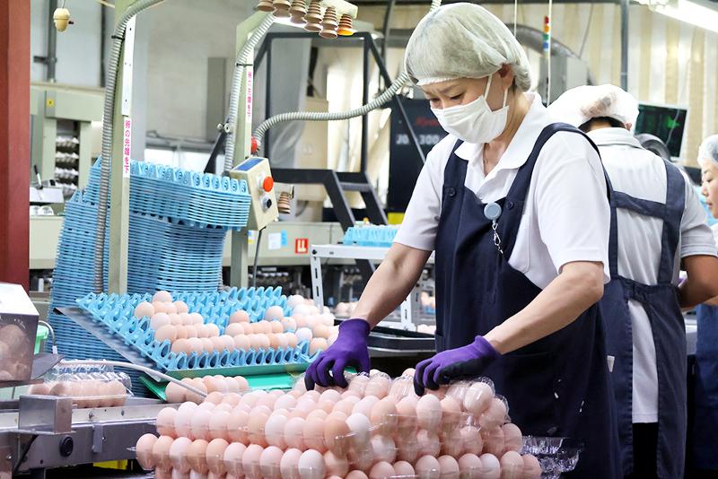 株式会社小林の求人情報