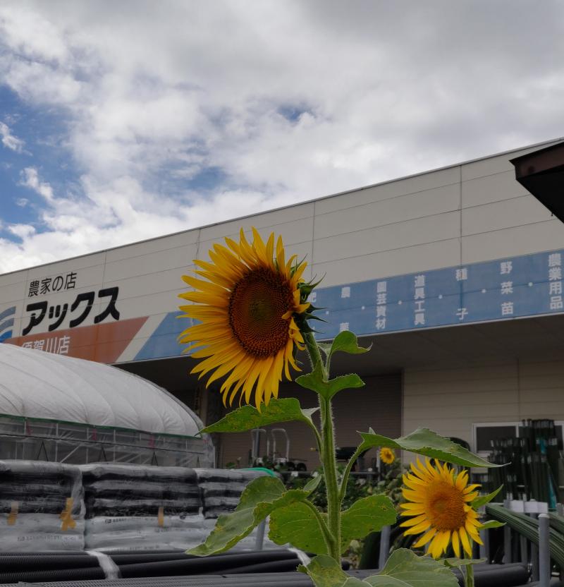 藤島農機株式会社のアルバイト・バイト求人情報-02