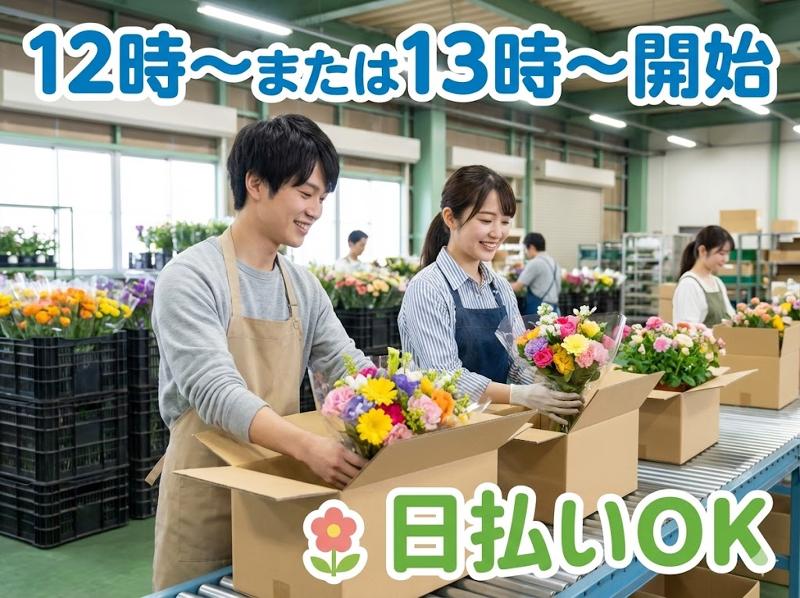 アレルヤ株式会社のアルバイト・バイト求人情報-33