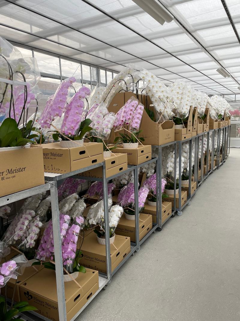 有限会社花匠の求人情報