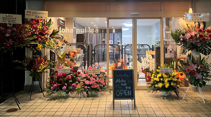 株式会社hoaheleの求人・転職情報