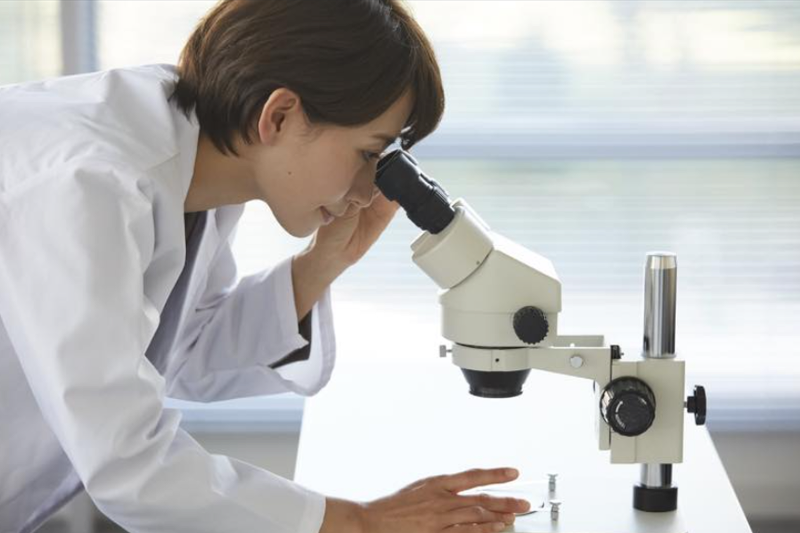 リス株式会社の求人・転職情報