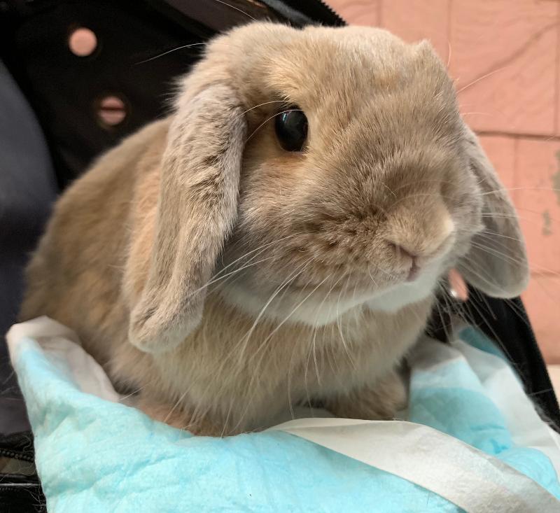 株式会社後藤企画のアルバイト・バイト求人情報-04