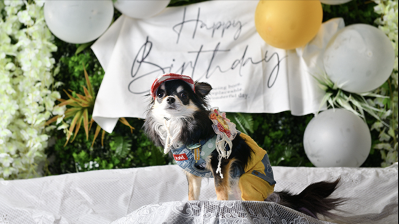 株式会社ANELLA Groupの求人・転職情報