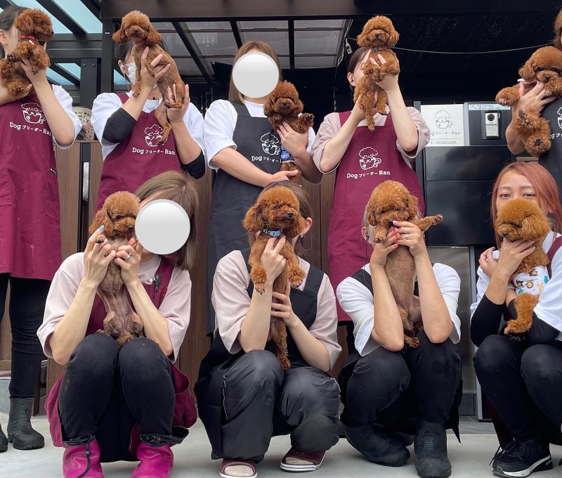 (株)DogブリーダーRanの求人4