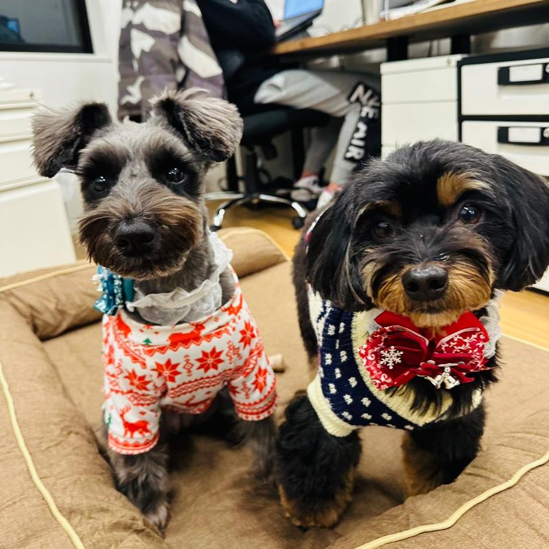 (株)ウェルファーマのアルバイト・バイト求人情報-05