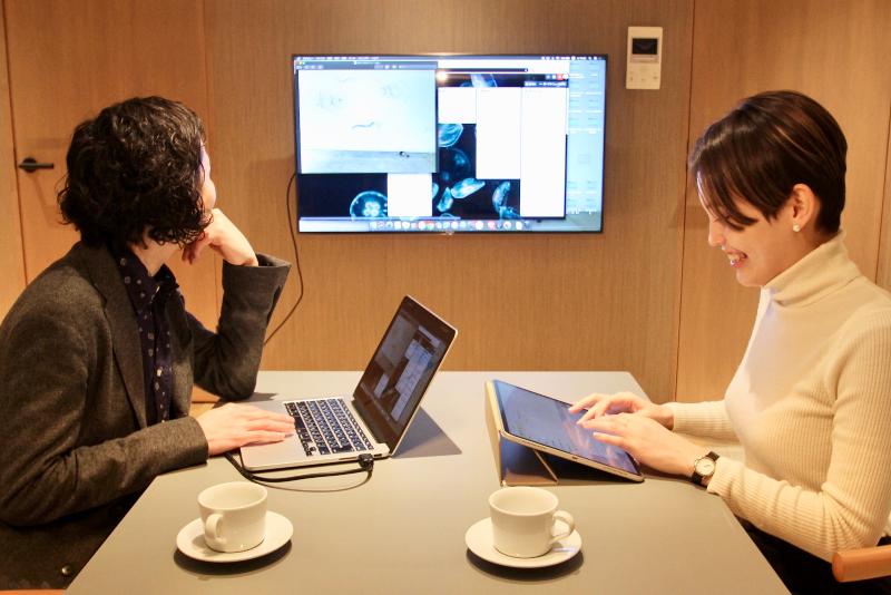 合同会社skew linesの求人・転職情報