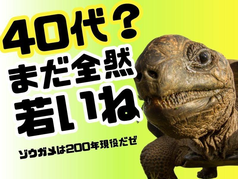 イズミ物流株式会社の求人・転職情報