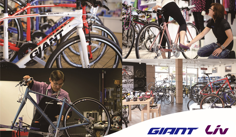 PMA合同会社の求人・転職情報