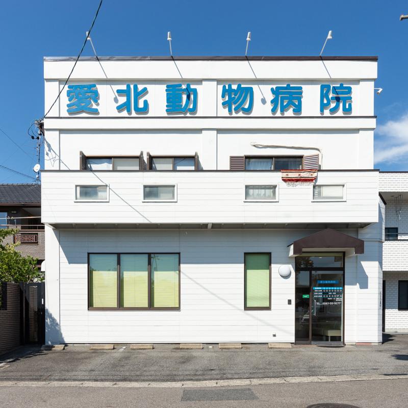 愛北動物病院のアルバイト・バイト求人情報-02
