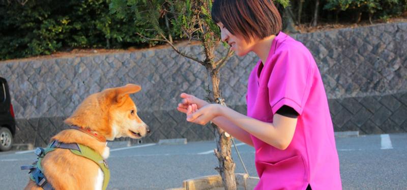 けいはんな動物病院のアルバイト・バイト求人情報-04