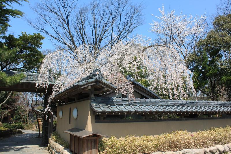 株式会社グランマーレ-0007の求人・転職情報