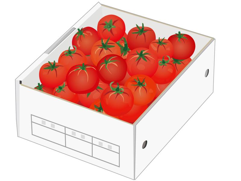 BRIDGE WORKS株式会社